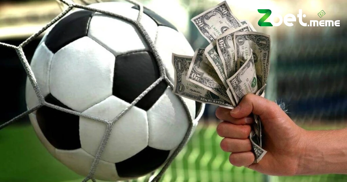 Bảo Hiểm Cá Cược: Định Nghĩa Và Cách Thực Hoạt Động 2 Giới thiệu về bảo hiểm cá cược ZBET