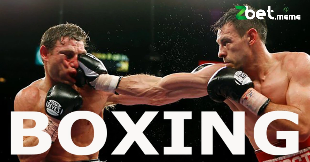 Cá Cược Boxing Online – Môn Thể Thao Cực Nóng Tại ZBET 3 Kèo thắng thua cũng là kèo phổ biến trong cá cược boxing online