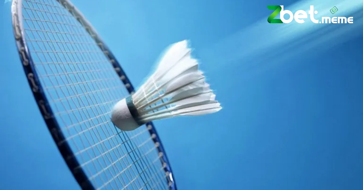 Cá Cược Cầu Lông Tại ZBET – Hướng Dẫn Từ A Đến Z 3 Những điều khác nhau giữa chấp set và tổng điểm khi chơi cá cược cầu lông