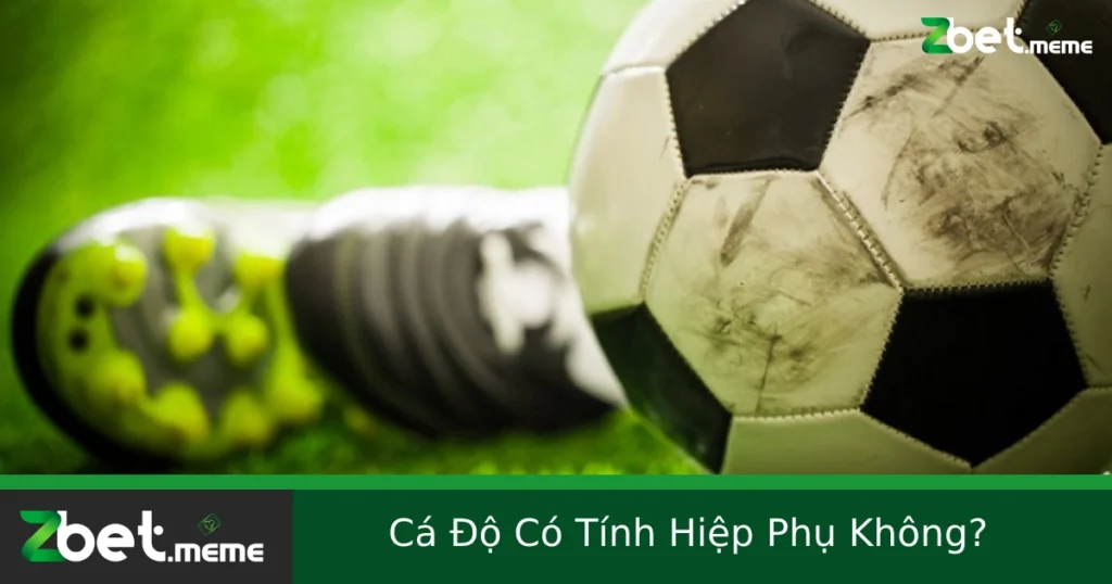 Cá Độ Có Tính Hiệp Phụ Không? Giải Thích Rõ Ràng Từ ZBET 1 Cá Độ Có Tính Hiệp Phụ Không? Giải Thích Rõ Ràng Từ ZBET