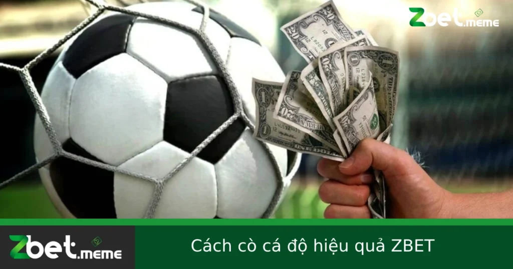 Cách Cò Cá Độ Hiệu Quả Tại Zbet Như Thế Nào Để An Toàn? 1 Cách Cò Cá Độ Hiệu Quả Tại Zbet Như Thế Nào Để An Toàn?