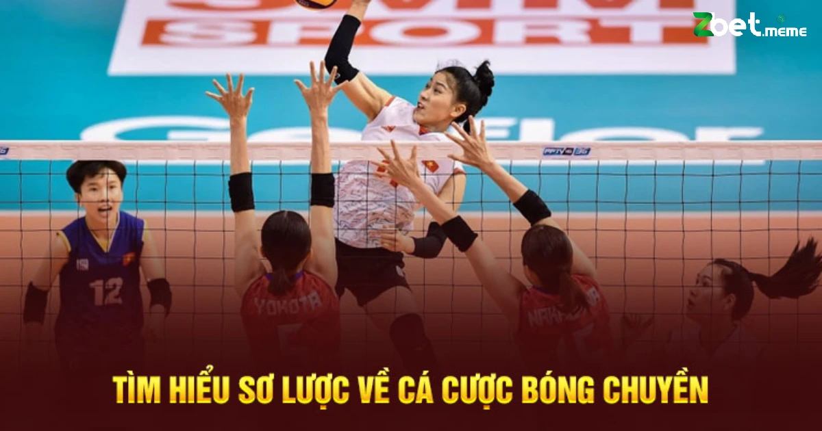 Cách Cá Cược Bóng Chuyền Tại ZBET – Môn Thể Thao Ít Người Chơi Nhưng Dễ Ăn 2 Chúng ta sẽ cùng khám phá bốn loại kèo nổi bật nhất mà người chơi thường lựa chọn trong cách cá cược bóng chuyền