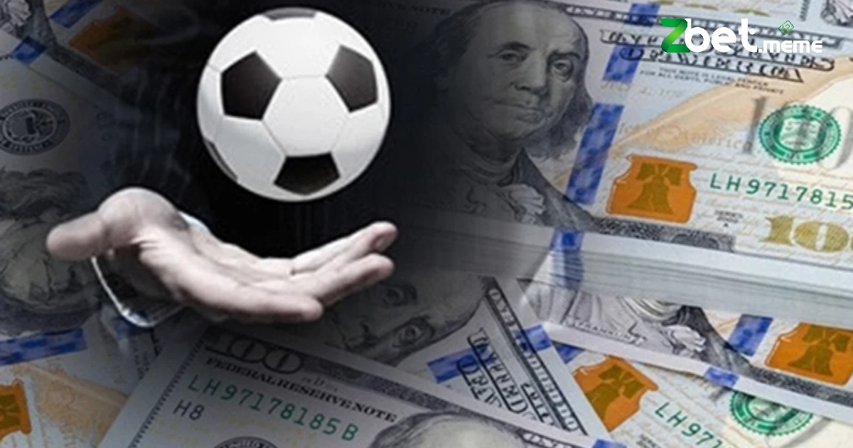 Cách Cò Cá Độ Hiệu Quả Tại Zbet Như Thế Nào Để An Toàn? 3 Việc duy trì chất lượng dịch vụ là cực kỳ quan trọng