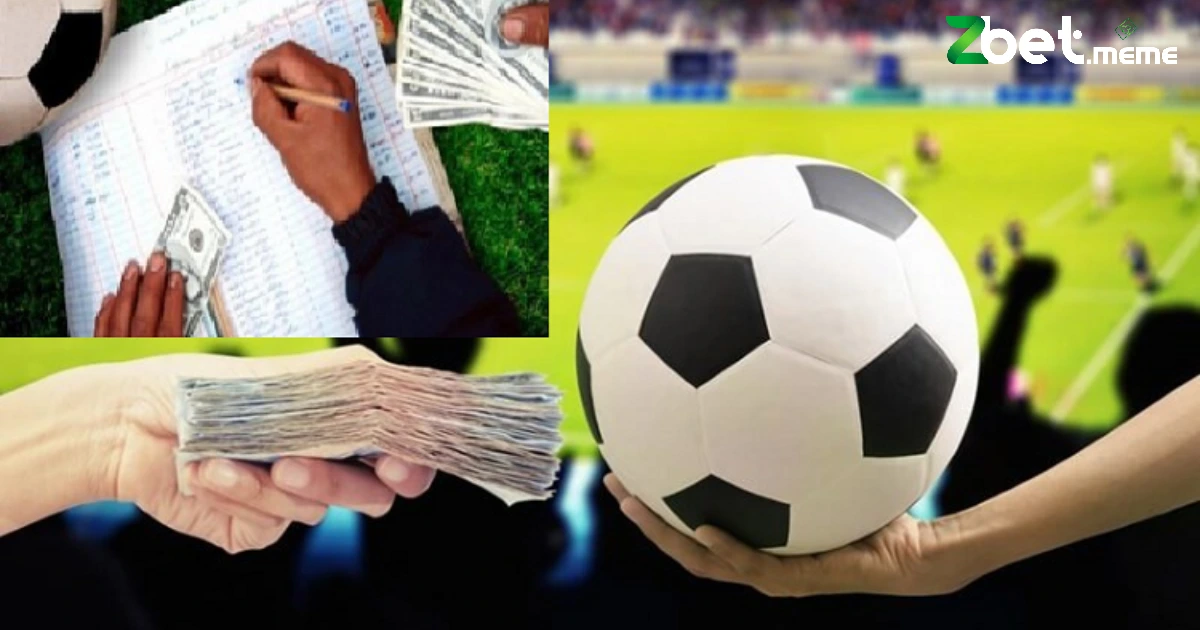 Cách Cò Cá Độ Hiệu Quả Tại Zbet Như Thế Nào Để An Toàn? 2 Những cách cò cá độ hiệu quả tại nhà cái ZBET